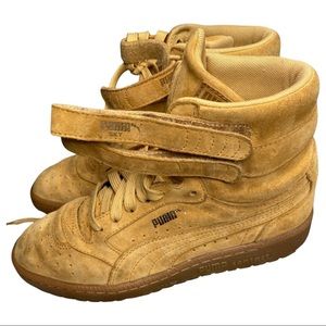 Wheat Pumas